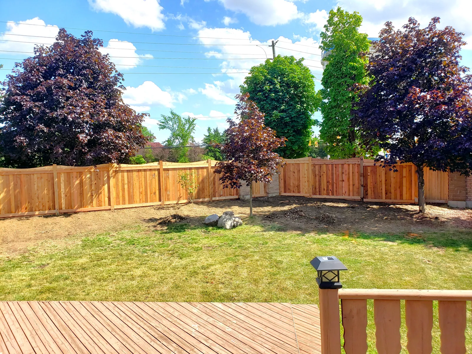 Completed cedar privacy fence surrounding a residential backyard