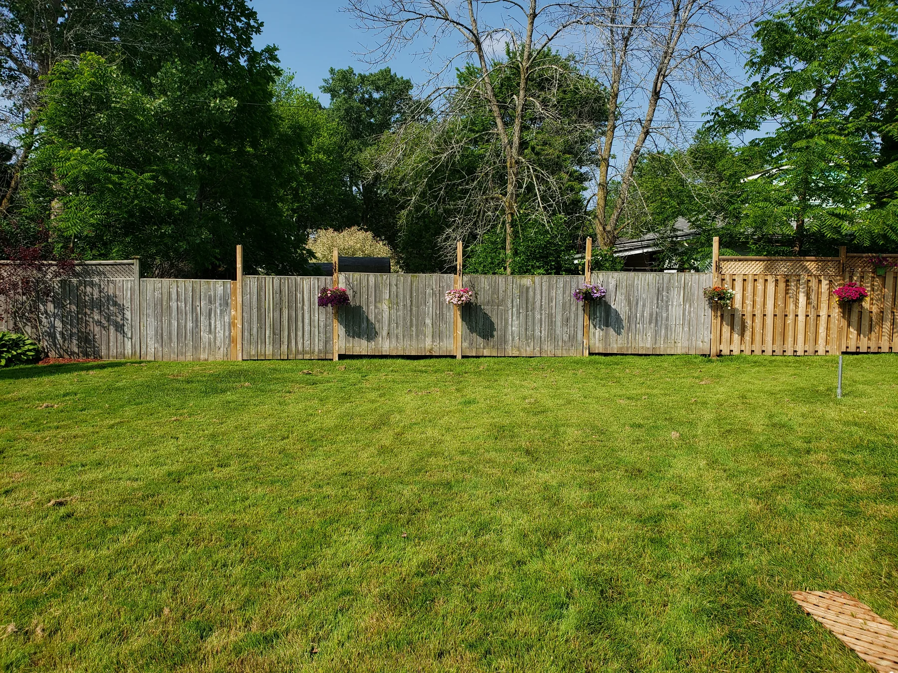 Aged backyard fence before replacement