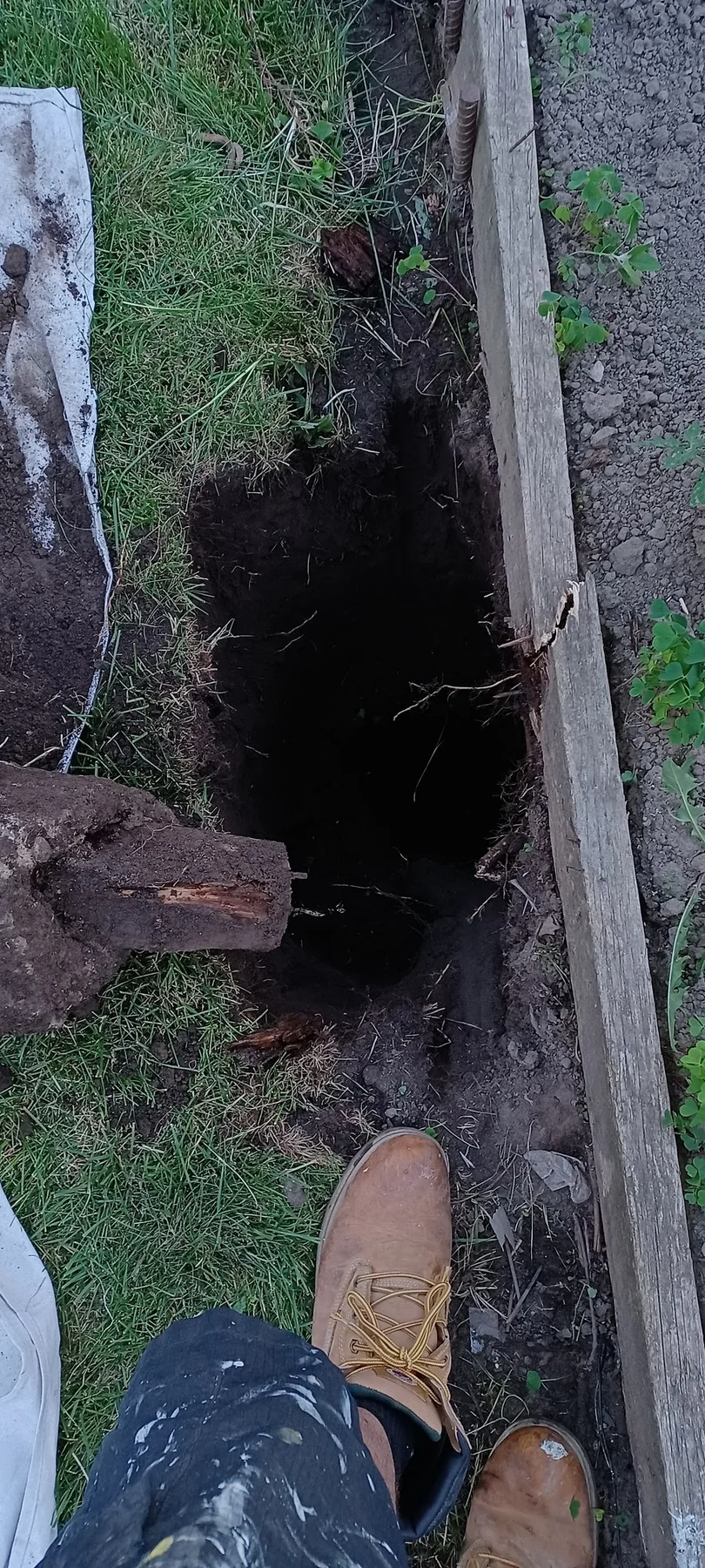 Excavated fence-post location during replacement work