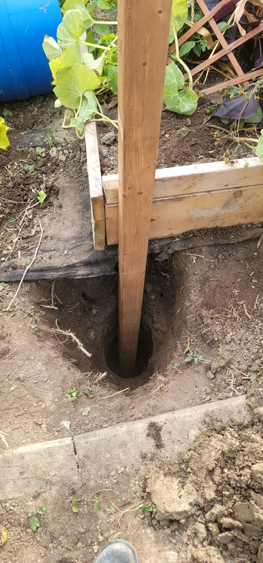 Fence-post hole prepared beside an established garden walkway