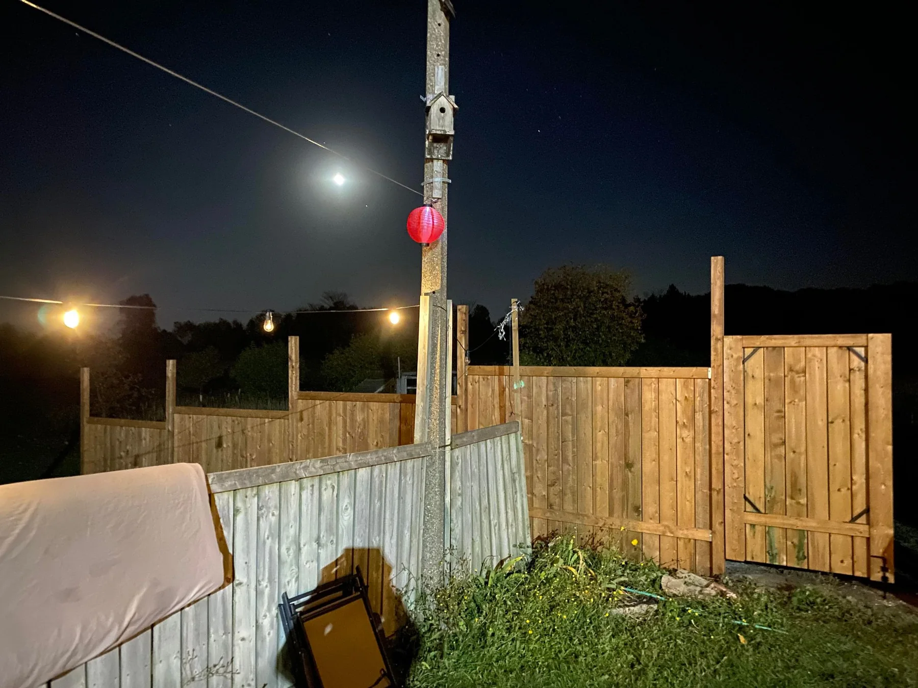 Completed gate and adjoining cedar privacy fence
