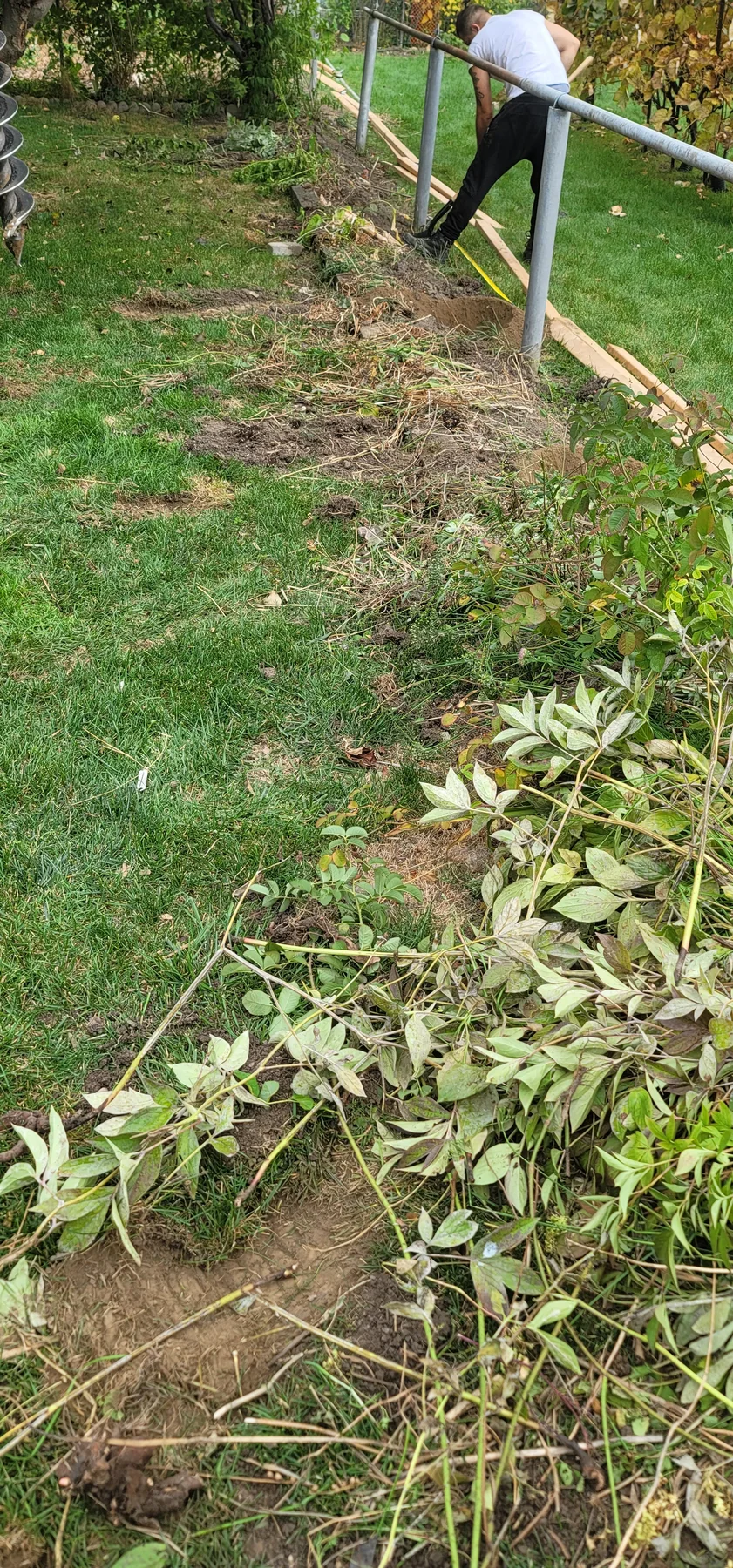 Existing boundary and prepared line before the garden fence installation