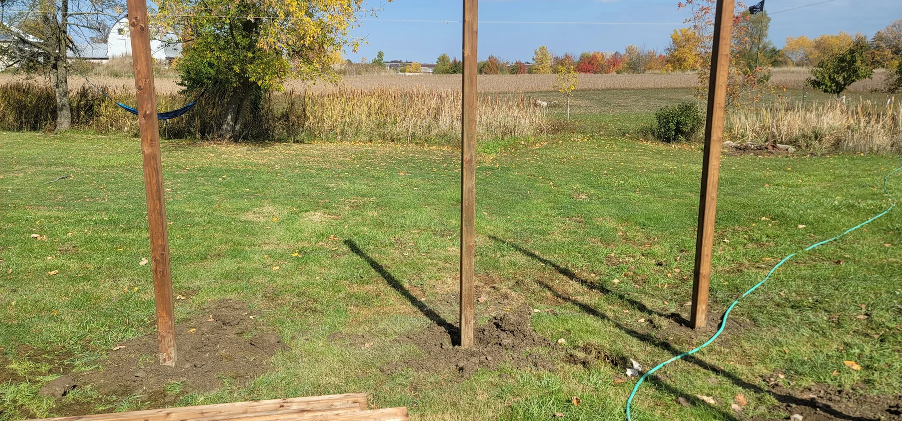 Full-yard layout of new cedar fence posts