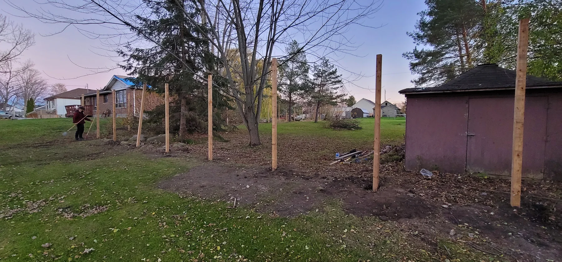 Long line of new fence posts installed through the yard
